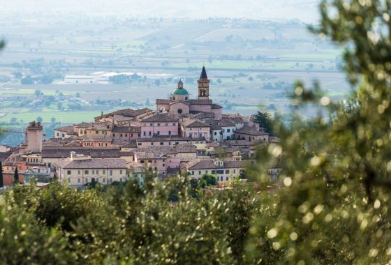 Umbria: the oil land