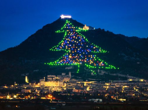 albero gubbio