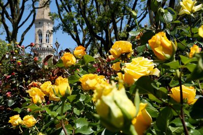 Perugia Flower Show – Spring Edition