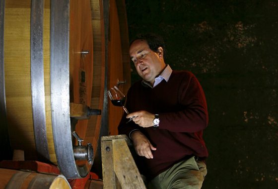 Cantine di tufo e grandi vini