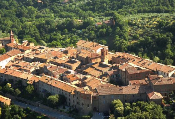 Olive oil in Paciano