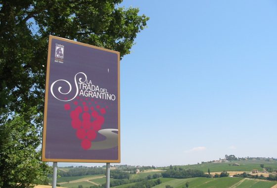 In Umbria, alla ricerca del vino sacro