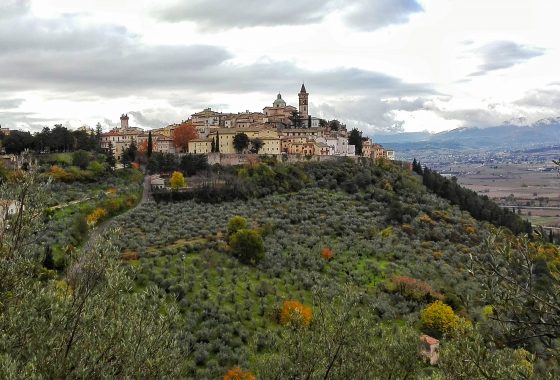 A Trevi per Frantoi Aperti