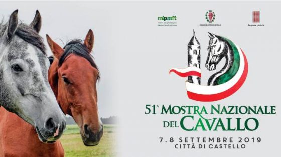 mostra cavallo