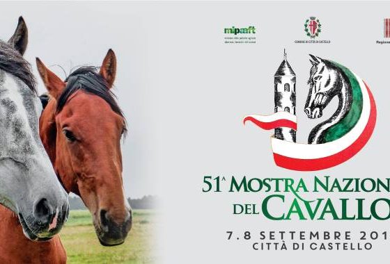 Mostra Nazionale del Cavallo