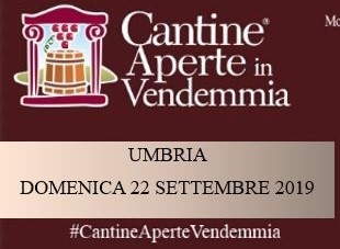 Cantine aperte in Vendemmia