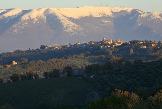 Cantine di tufo e grandi vini