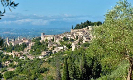 In Umbria, un olio di oliva italiano all’altezza degli elogi In Umbria