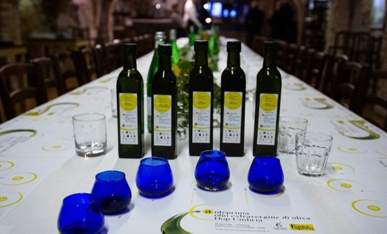 Olio extravergine di oliva. 10 cose da sapere sulla DOP Umbria