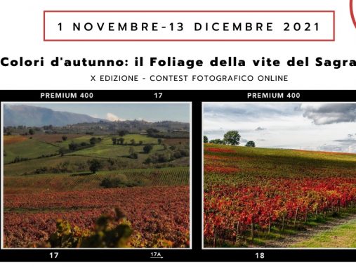 Colori d’Autunno - contest fotografico