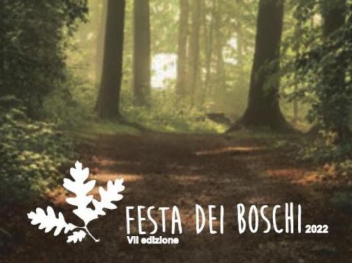 Festa dei Boschi