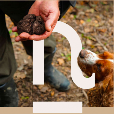 prodotto nero che nasce sotto terra profumato tartufo